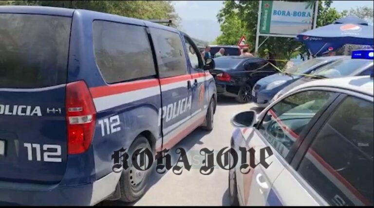 Kronikë/Sherr në familje për plazhin në Radhimë; plas arma mes dy vëllezërve