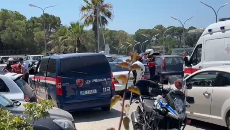 Qëllon me armë në plazh, një burrë përpiqet që ta ndalojë autorin (Fotolajm)