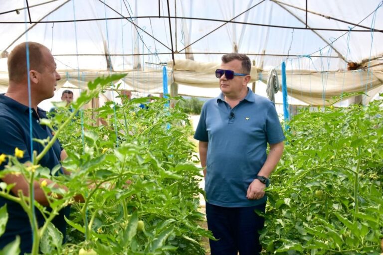 Balla në serën e kultivimit në Lushnje: Ky vit ka prodhuar më shumë të ardhura për fermerët