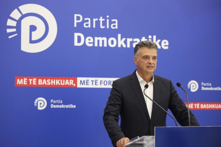 Bie e-Albania/ PD: Qeveria fsheh informacione, mund të kenë hakëruar të dhënat e qytetarëve