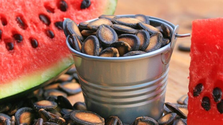 Farat e shalqirit janë një burim vitaminash për organizmin