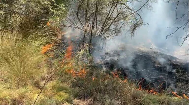 Pesë qarqe të përfshirë nga flakët, situata më e vështirë në Lezhë