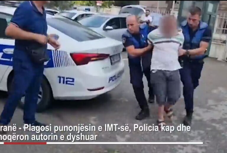 Plagosi punonjësin e IMT-së, flet vëllai i autorit: Në shtëpi ishte veç vajza minorene, u terrorizua