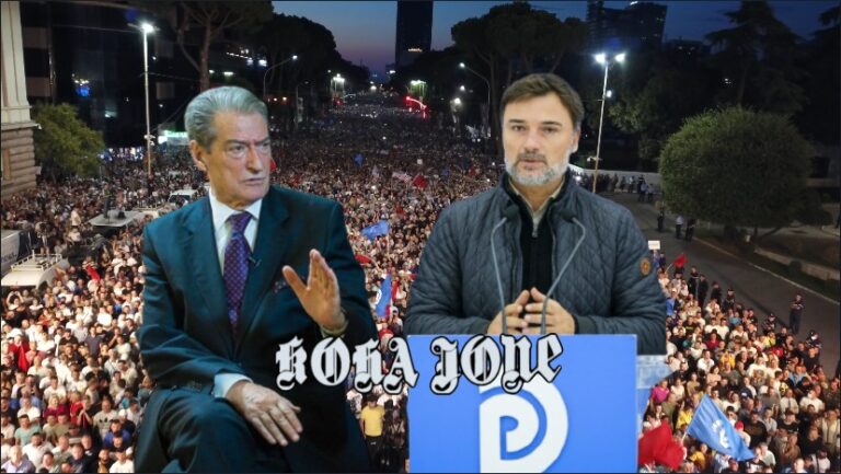 Loja për ti marrë PD-në, Sali Berishës