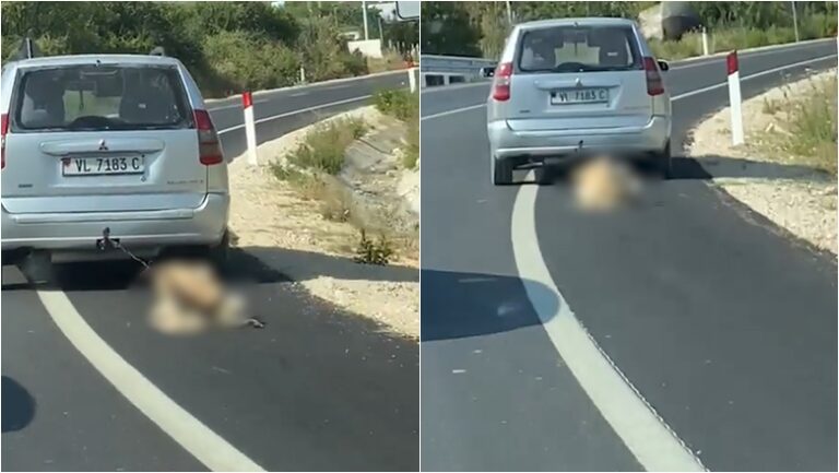 Lidhi qenin pas makine dhe e tërhoqi zvarrë, shoferi shoqërohet në Polici