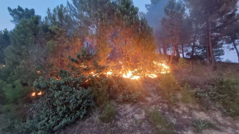 Tre vatra zjarri aktive në të gjithë vendin, Ministria e Mbrojtjes: Janë angazhuar 331 forca Operacionale për shuarjen e flakëve