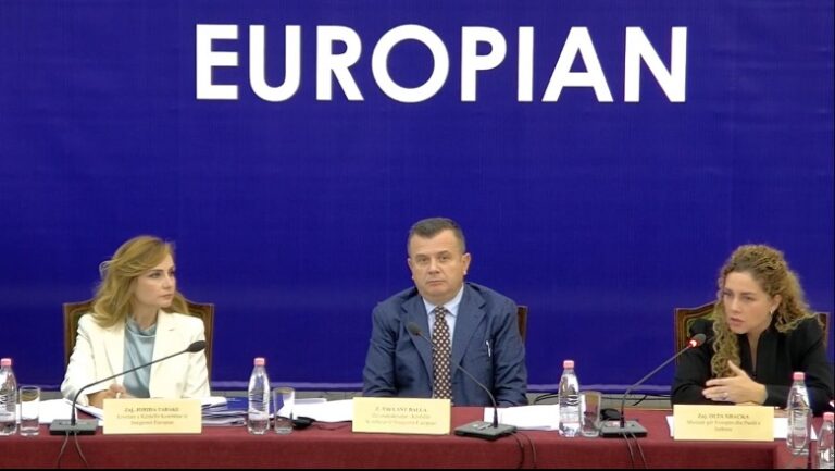 Proges raporti i BE/ Hohmann: Jo amnisti fiskale! Balla: Më i miri deri tani! Tabaku: S’ka hapa para nga qeveria