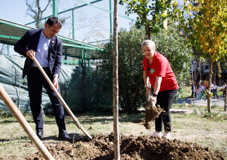 Të lidhur nga planeti. 140 pemë më shumë për kryeqytetin