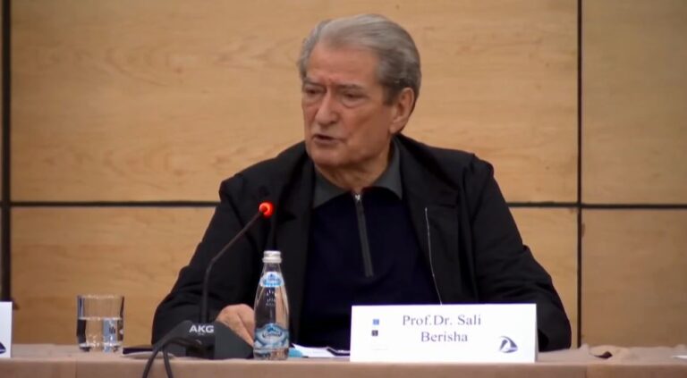 VIDEO/ Zgjedhjet lokale, partia suedeze në konferencë me Berishën