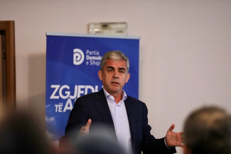 Del kundër primareve, deputeti Hoxha: Kandidatët e PD-së të dalin nga sondazhet
