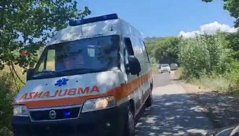 Ra nga pema teksa mblidhte ullinj, ndërron jetë 65-vjeçari