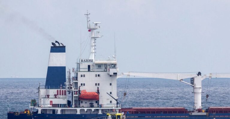 Zëri i Amerikës: Rriten shqetësimet për furnizimin ushqimor global