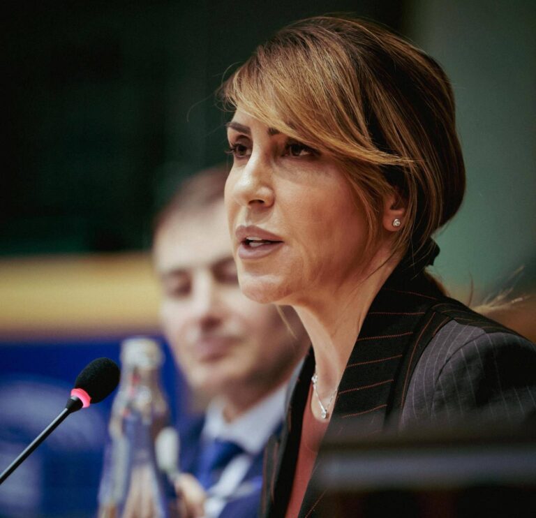 SEPA në Ballkan, Majlinda Bregu: Një hap i madh i Shqipërisë drejt BE-së