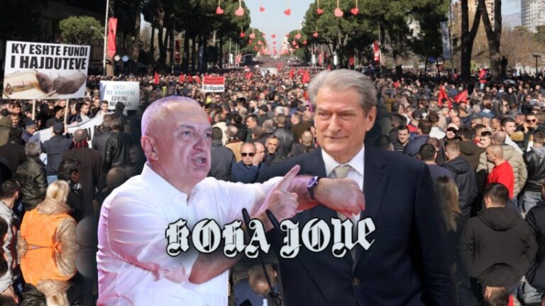Çfarë do të bëhet me protestën?