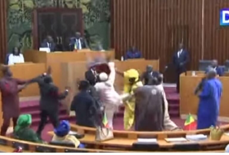 Plas sherri në parlamentin e Senegalit! Deputeti godet kolegen me shuplakë, ajo ia kthen me karrige
