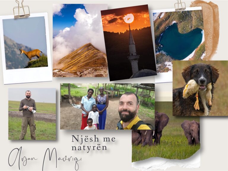 Njësh me natyrën; intervistë me Arian Mavriqi, fotografin profesionist të “botës së egër”