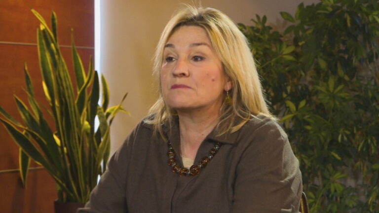 PS merr në mbrojtje Açkën e PD-së së Bashës