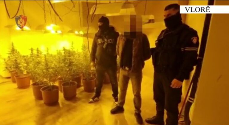 Policia operacion antidrogë në Vlorë. Dy vëllezërit kishin kthyer vilën në “shtëpi bari”, 6 të arrestuar
