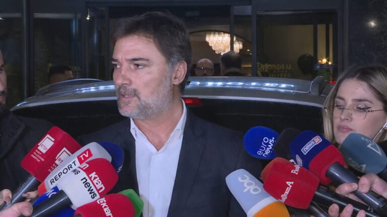 Takim me Berishën? Alibeaj: Për mua kanë rëndësi demokratët