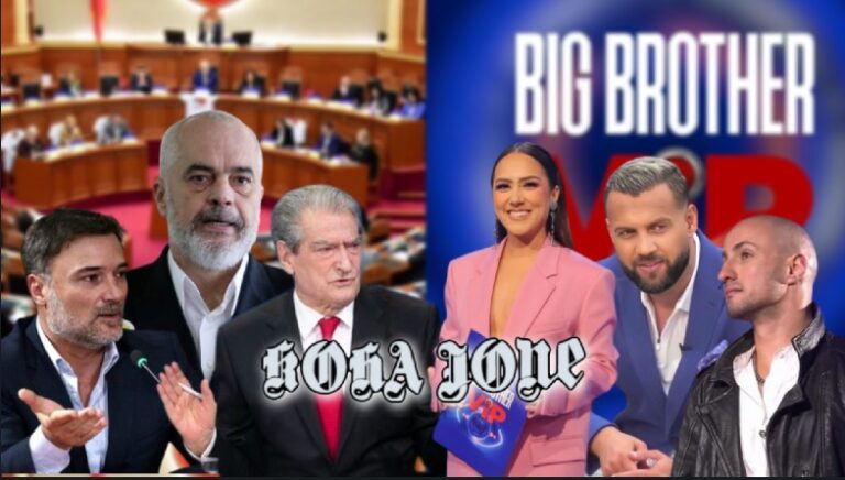 Big Brother dhe Politika