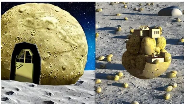 Me patate dhe kripë, ja si mendohet të jenë shtëpitë e ardhshme në Mars