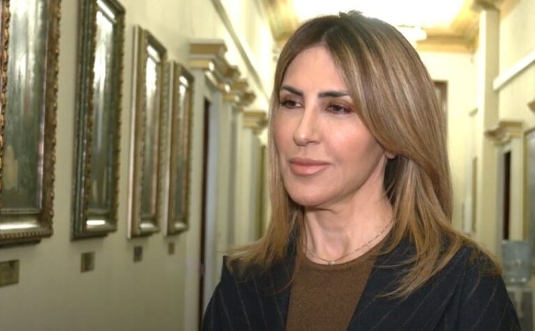 Majlinda Bregu: Kryetar nuk të bën vula. Basha e mori dhuratë dhe e shkatërroi PD