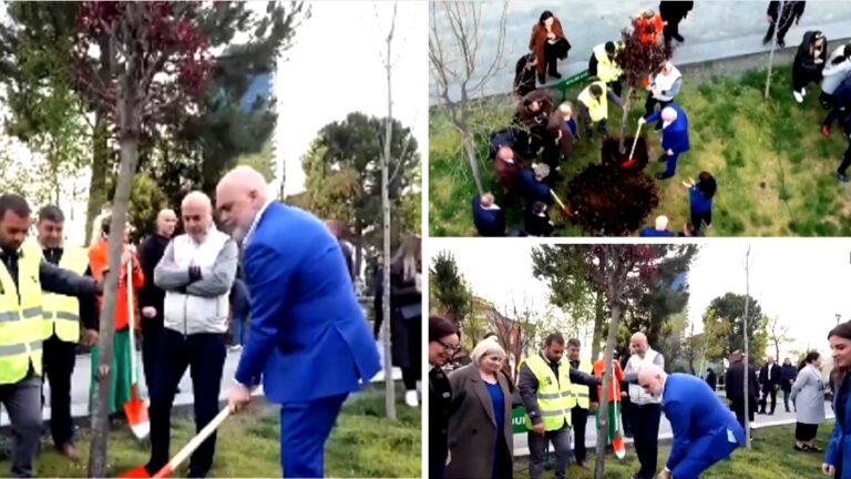 PS mbjell pemë për fushatë, Rama bën 3 parashikime