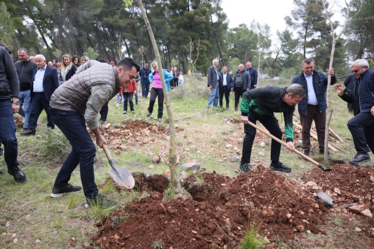 Lista e këshilltarëve të PS-së nis fushatën me mbjellje pemësh, Gjiknuri: Kjo skuadër garanci që Elbasani nuk do të ndalet!