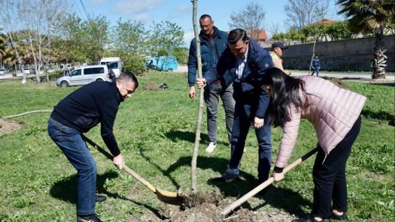 Taulant Balla mbjell pemë në Lushnjë: Jo më fushata me postera që vendosen nëpër mure
