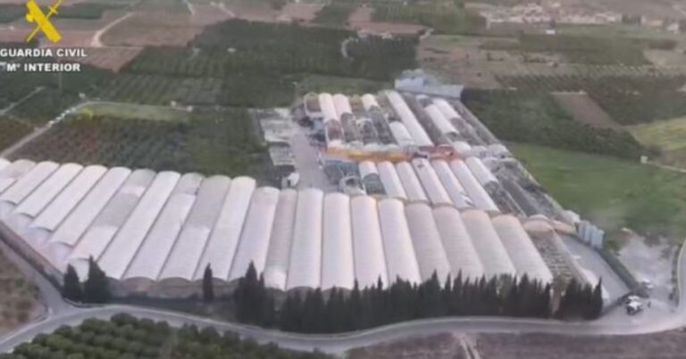 Shkatërrohet banda e drogës në Itali, mes të arrestuarve edhe një shqiptar