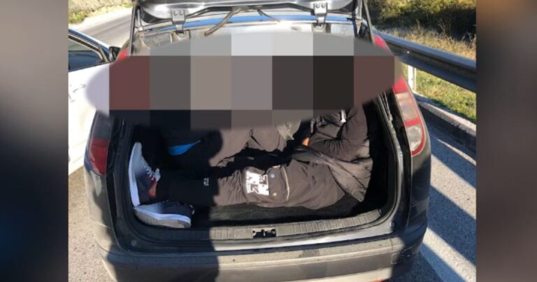 Operacioni “Midnight 8”, vihen në pranga 4 persona për transport të emigrantëve të paligjshëm