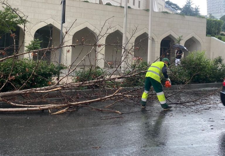 Tirana i rikthehet normalitetit pas shirave të rrëmbyeshëm, Veliaj: Punonjësit e Bashkisë në terren