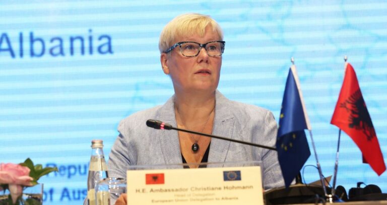 Ambasadorja e BE-së, Hohmann: Liria e shtypit, gur themeli i demokracisë