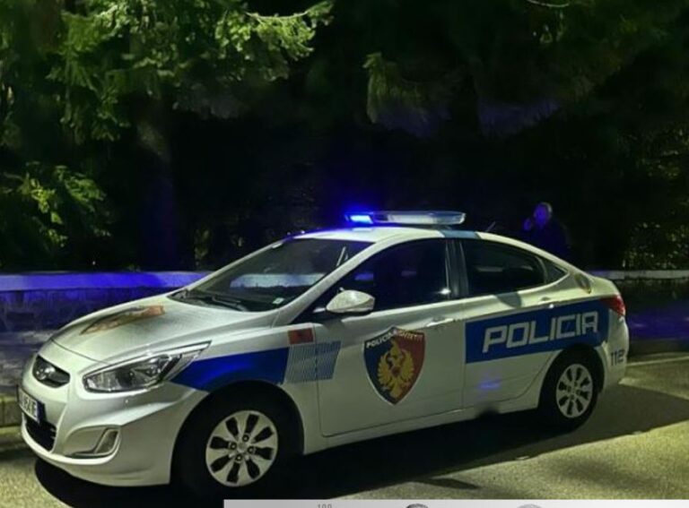 Konflikt pronësie, plagosen dy persona
