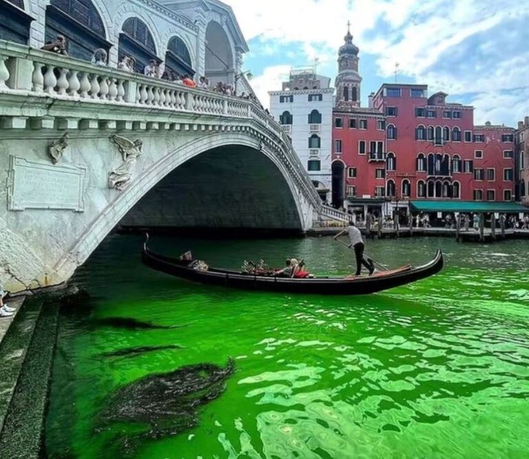 Fenomeni i rrallë. Uji në Venecia bëhet jeshil