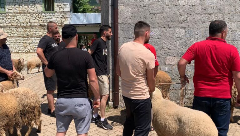 Kurban Bajrami, besimtarët marrin pjesë në kurbanin e kafshëve