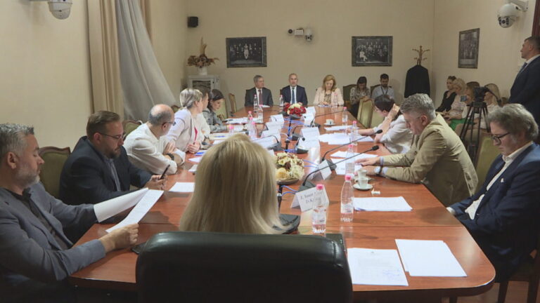 12 ambasadorët e rinj, opozita listën e qeverisë e quan mediokre