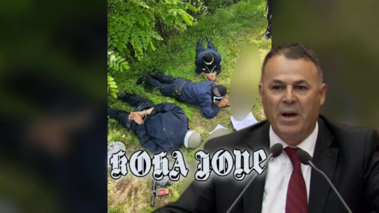 Kronikë/ Deputeti: Të marrim armët! Tensione dhe debate në Kuvendin e Shqipërisë për Kosovën