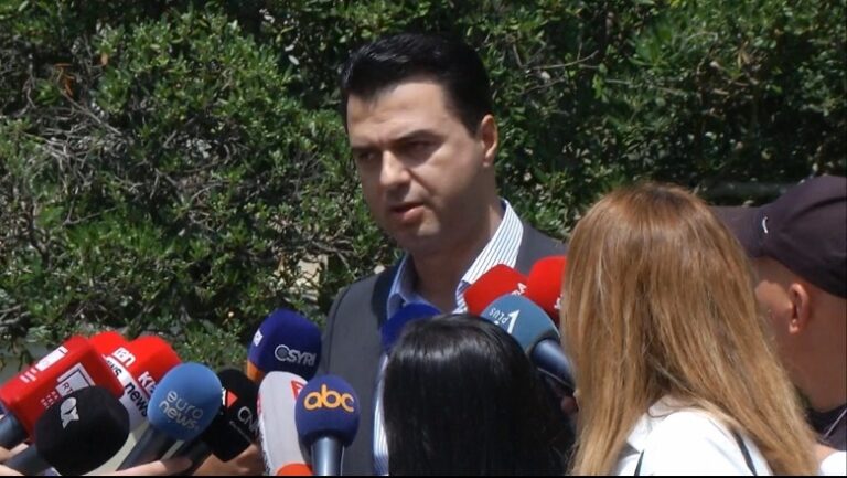 Basha: Partinë Demokratike nuk e drejton Sali Berisha, është përjashtuar
