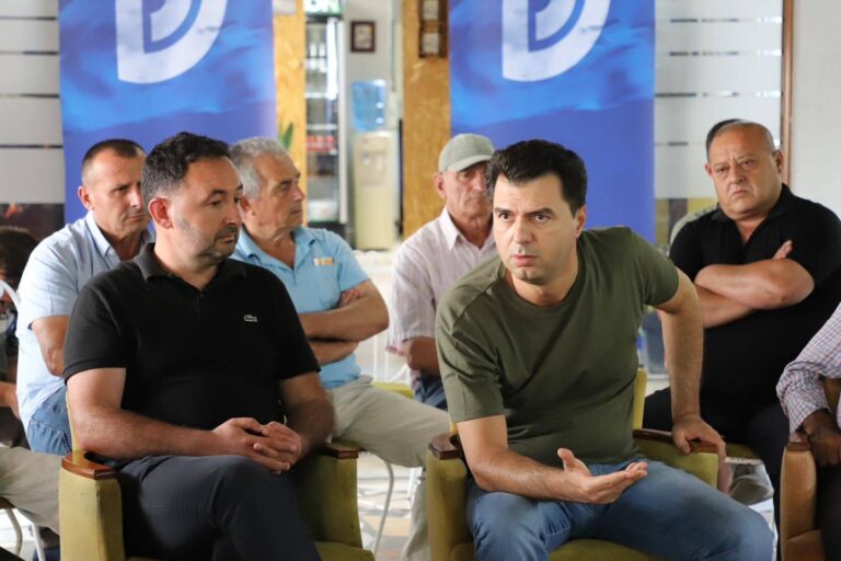 Gara për kryetar, Basha: PD po riorganizohet për shqiptarët që nuk i përfaqëson ky sistem politik