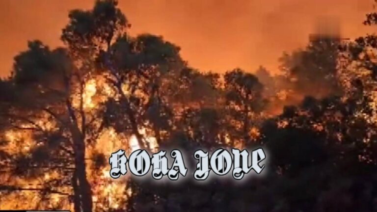 Zjarret në Greqi dhe Itali janë shkaktuar nga dora e njeriut, jo nga temperaturat