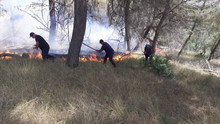 Situata në vend nga zjarret! Vatër e madhe në pyjet e Peshtanit, flakët nuk po shuhen as në Radhimë