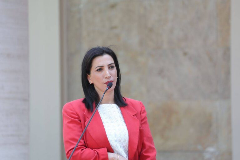 ”Kemi nisur përgatitjet për 2025”, Kushi tregon pse PS-ja fiton zgjedhjet