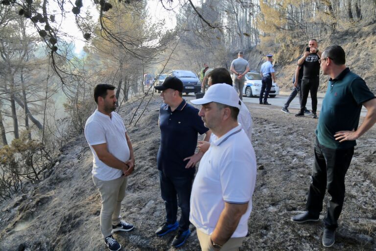 Peshtani në flakë, Balla: Zjarrvënia është vepër penale, ndëshkim ekzemplar për këdo!