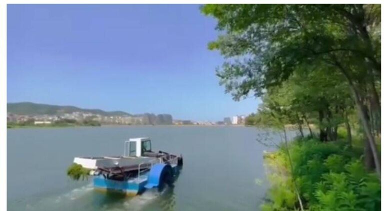 Ja se si u pastrua Liqeni i Tiranës sot (VIDEO)