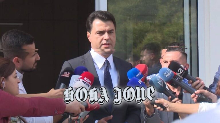 Basha do të fillojë spastrimet në PD