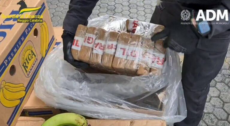 Kokainë në arkat me banane, këtë herë kapen në Greqi