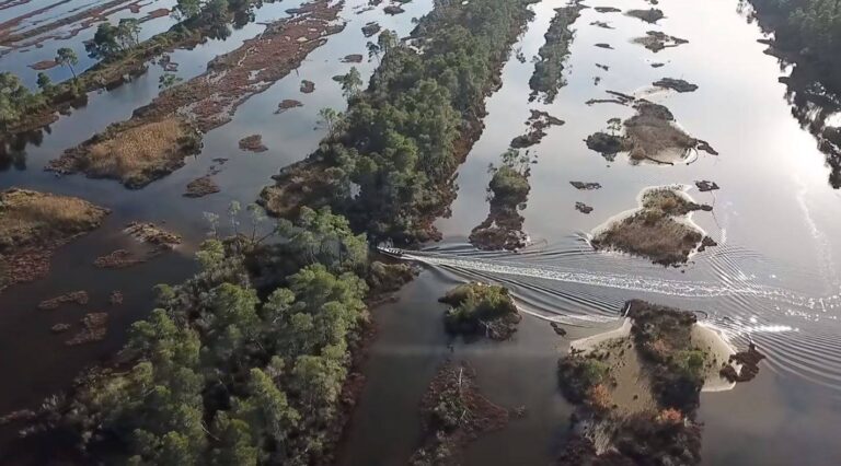 VIDEO/ Kryeministri Rama promovon bukuritë e Shqipërisë: Perëndim mbi Karavasta