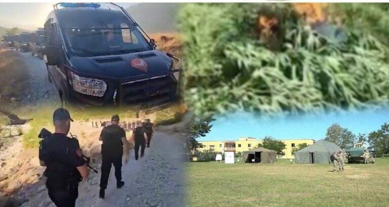 VIDEO/ Kanabisi në zonën ushtarake, nis hetimet dhe ushtria. Sesi u shkel perimetri, askush nuk ka një përgjigje