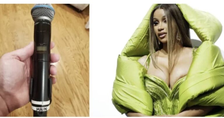 Del në ankand mikrofoni me të cilin Cardi B goditi fansen në koncert